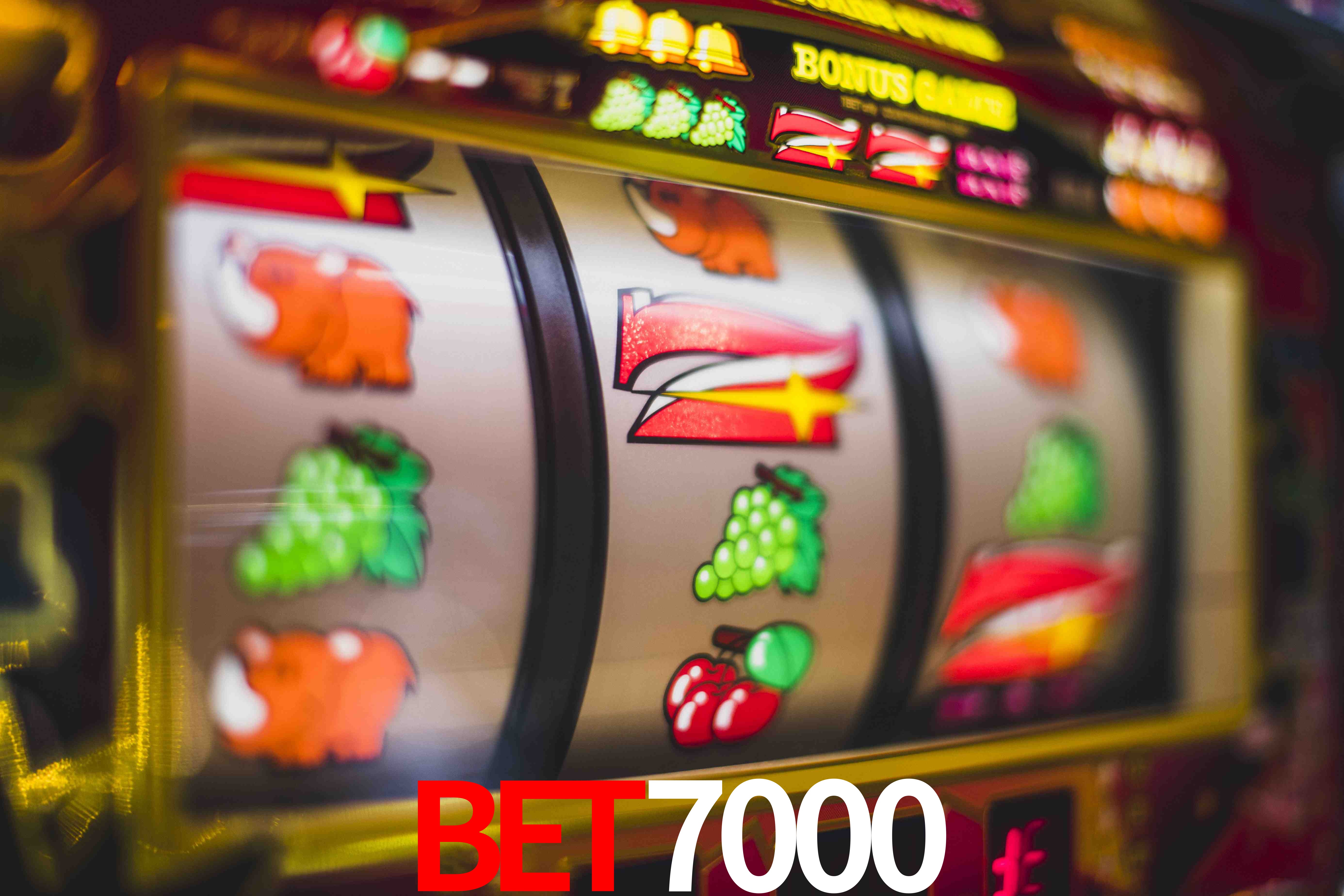 Statistics bet7000